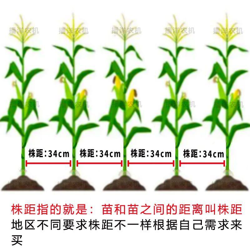 玉米播机点机人工种地种播种器播花生豆多功能MWF精量点播黄种植