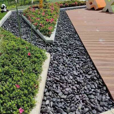 黑雨色抛鹅卵石大批量110201公园铺路园林造景花色石光黑白色五彩