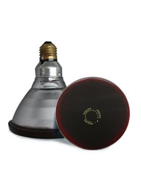 直供红外线灯泡AR38150W家P用理疗69756灯烤电加热保温红光烤灯