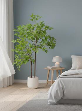 真绿树植物南品天竹客厅DS202598装饰摆件仿仿生假树假花室内玄关