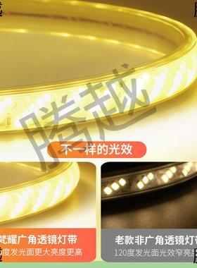 led灯带100户外工程亮化超米亮防暖光家客厅三色变用光水装93777