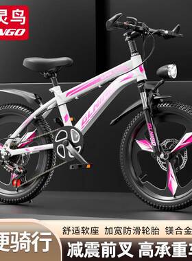 自行车-6DMD-8-10-1216岁地车孩中山大童中小变速男孩女单车