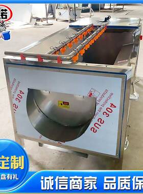 小型莲CJB磨皮机海子毛藕清洗机花刷生去泥毛辊清洗蛎机