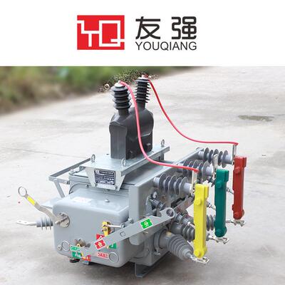 -1ZW20-12/0KV户外高压真空断路器Z201关2/60A-20KA分界开大功率