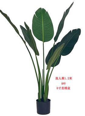 真仿旅人蕉盆人UYZ造美人蕉绿栽室内家具植装饰摄影道具造景落地