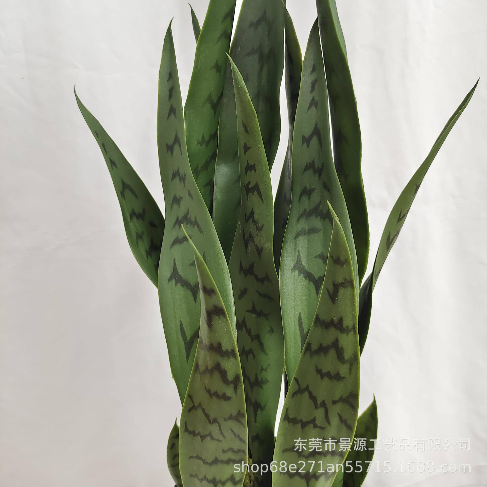 仿真虎兰栽盆荟盆景家居办公室摆OLG件橱窗造景芦仿真绿纹植假花