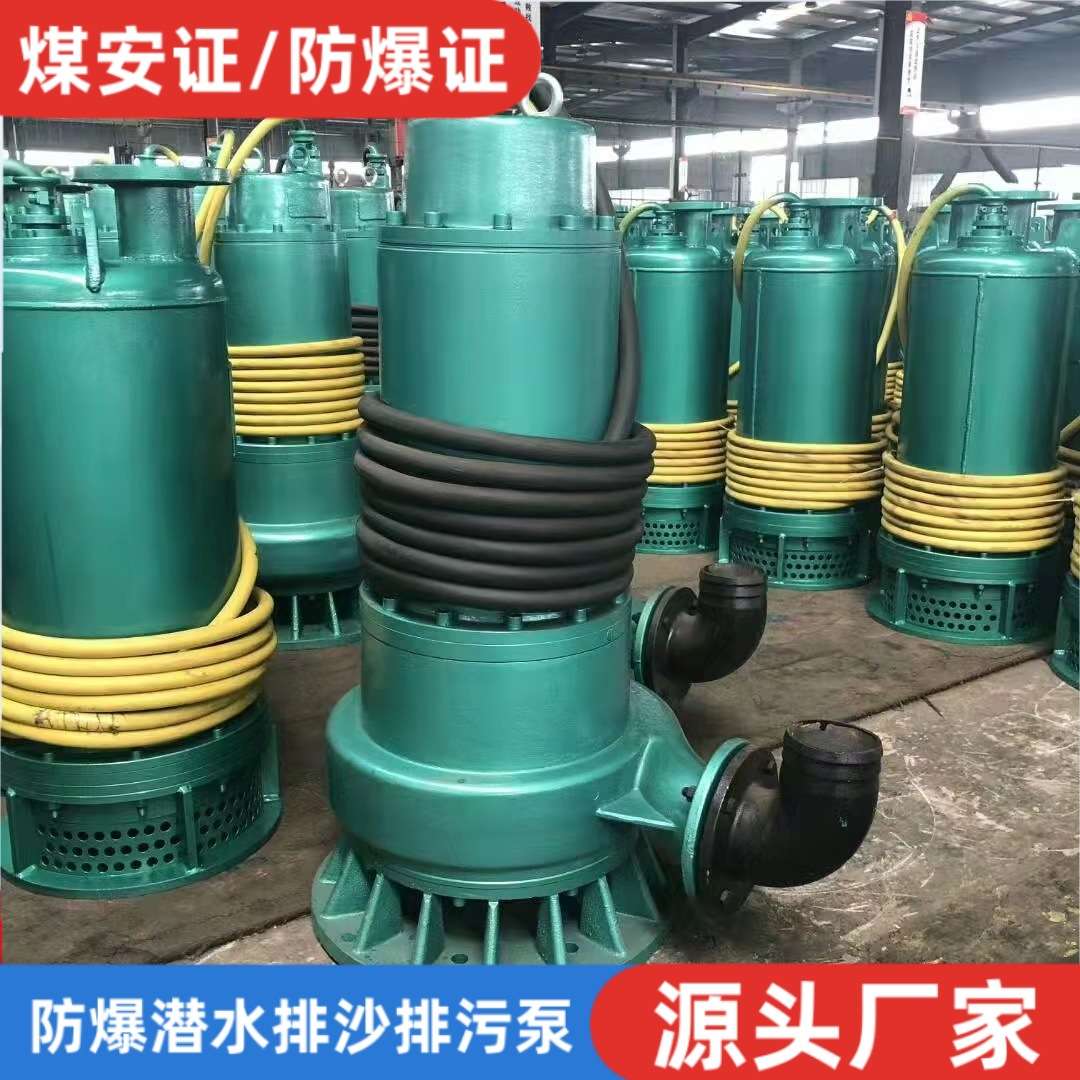 防爆潜污泵1140V660V 矿用BQS100-30-18.5KW BQS隔爆型潜水排沙电