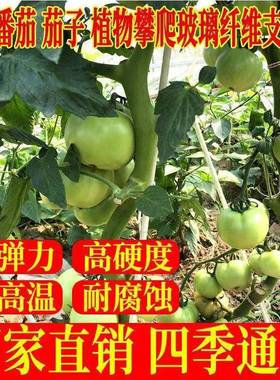 支架芸豆搭爬豇棚丝瓜拱竿葫芦黄瓜藤WLP架杆牵引豆防腐四季架豆