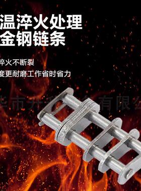 NSE板式链条送矿用设备提工升机链条输大节距BPM业板式链条