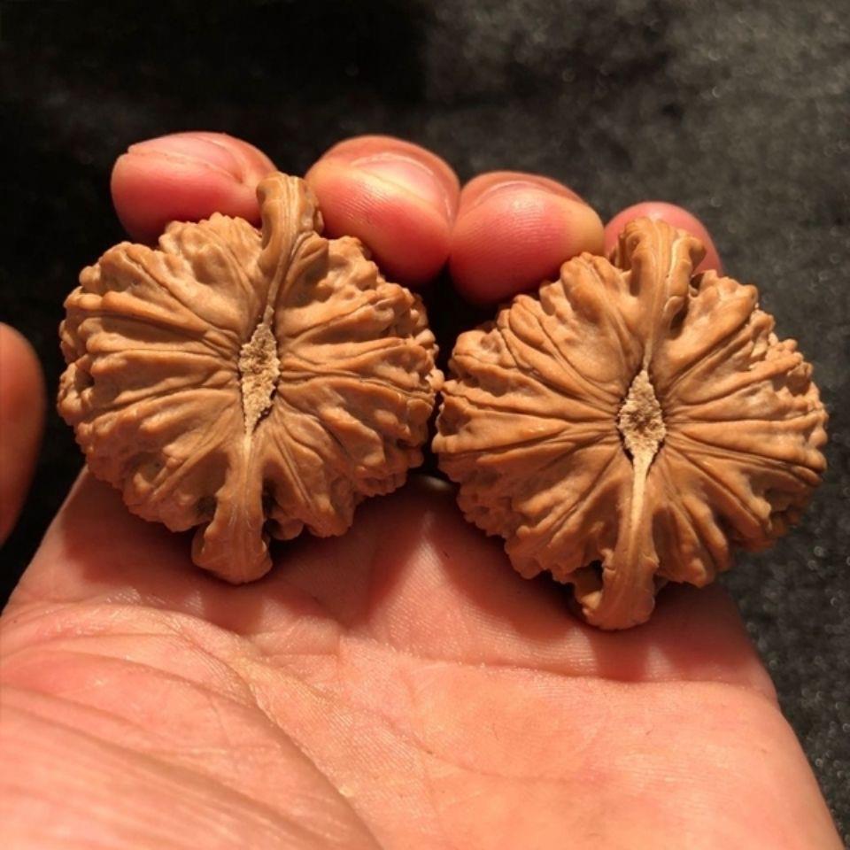 手文玩核桃三角闷尖白狮手子头古XZK玩玩老树粗筋小尺寸盘捻玩手