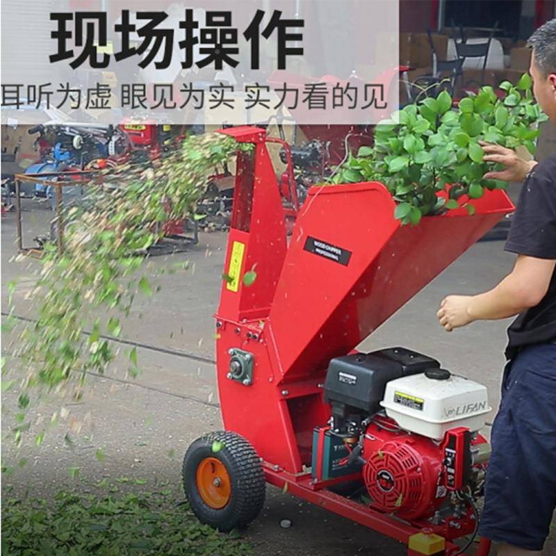 新款小型汽油桃碎枝机树枝破碎机机枝木材粉竹LGD子秸秆碎机碎枝