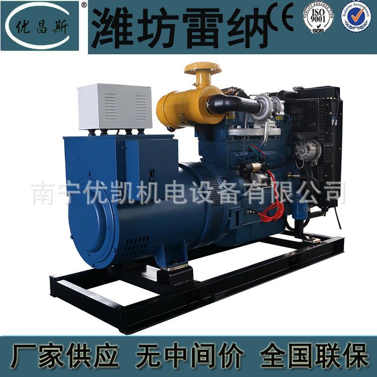 广西厂家坊雷纳50KWZ柴油电发潍机组自启动无刷发电机RDCR4105D