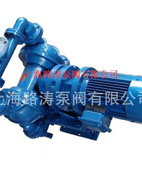 厂家直销DB-8铸铁衬F46膜电Y0动隔膜泵上海路涛NLZ隔膜泵