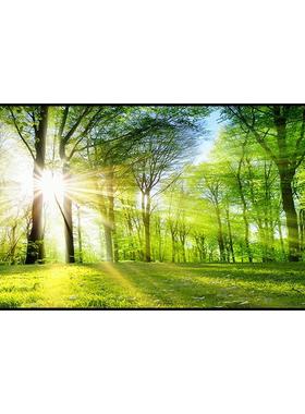 网红客LY210911厅横版挂绿色森林风景装饰沙发后背景草地画画室卧