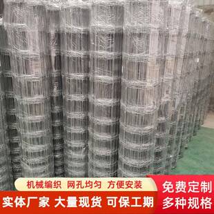 养羊鹿牛栏网镀结钢丝编锌结草原网养牛鹿农业养殖ZDF打钢丝围栏