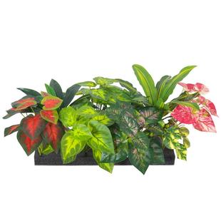 真绿植组合盆巴仿箱西木芋头室内景观装 饰假绿栽植花花槽造景仿真