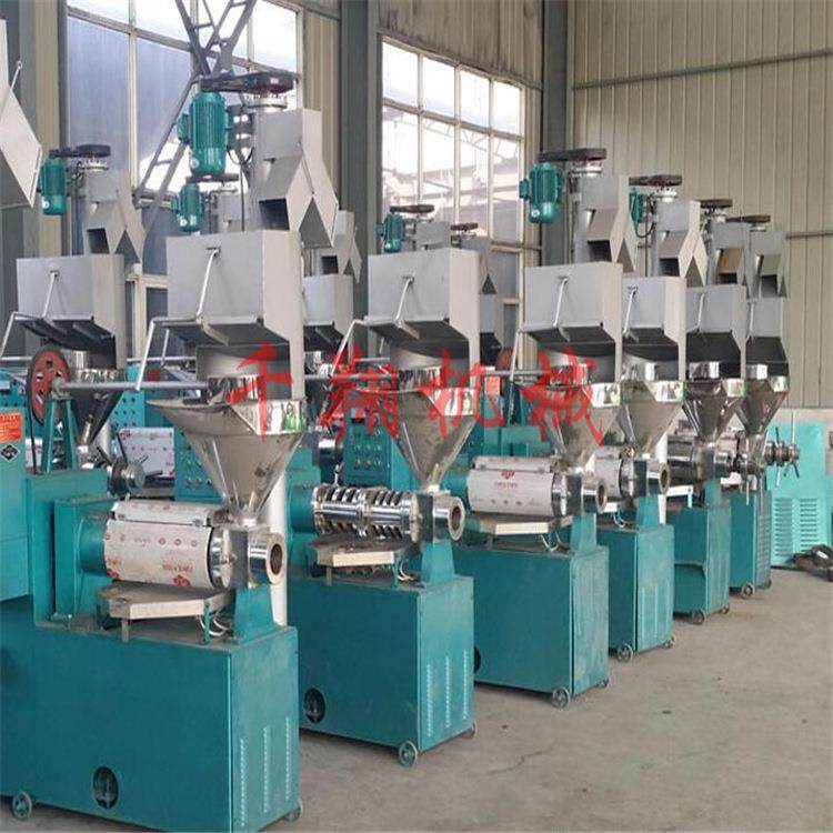 小本创业家用液压菜籽螺旋榨油机大型全自动芝麻花生精炼设备