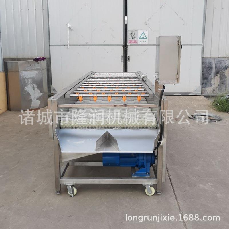 海蛎子生蚝清洗机全自动洗壳机大型高压喷淋软毛刷柑橘柠檬打蜡