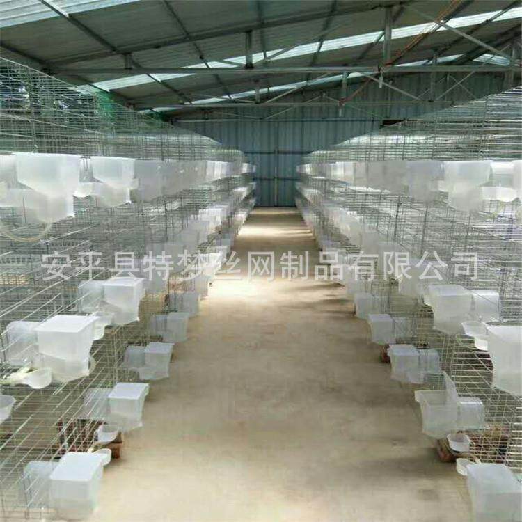 鸽笼鸽笼子鸽笼配件配对笼鸽笼全套鸽笼铁网鸽笼门