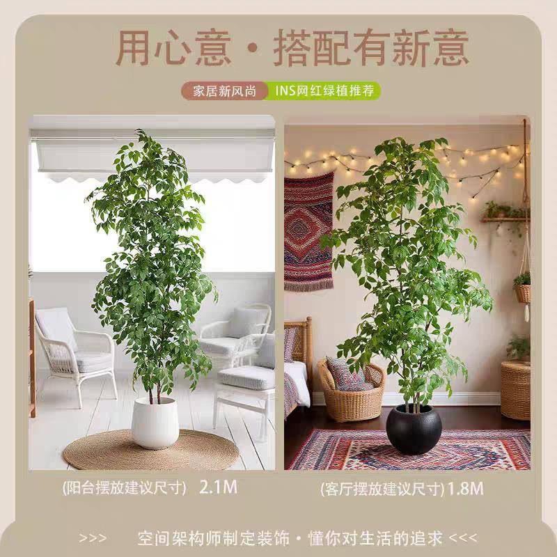 仿真福幸树地植绿物盆栽室内8i客厅卧室橱窗吉利风水假树落造景装