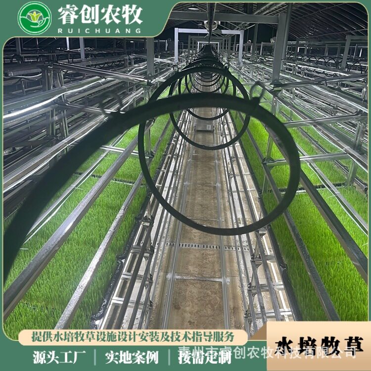 智能水培牧草工厂全套设备