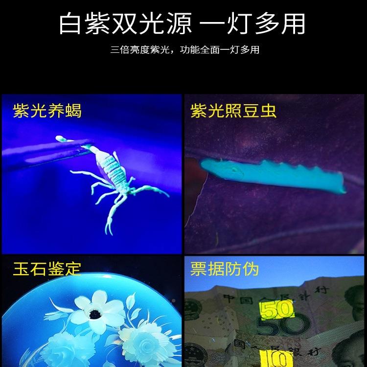 子充F97MJJS7电光手提手电筒超亮户外灯照蝎子强紫光灯超长续航照