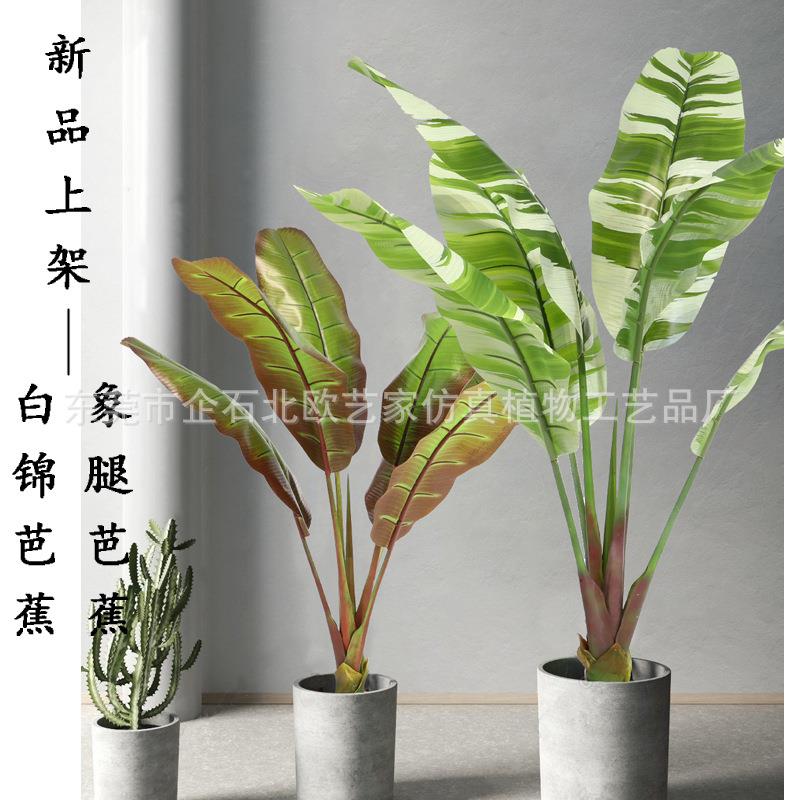 仿真芭蕉XTBJ-015树植盆栽热带假物香蕉摆件树客厅商场饭店象芭蕉