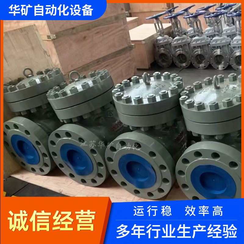 DN100锻钢旋启式高温高压止回阀
