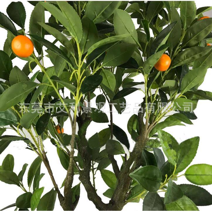 桔子花树盆景家居室植物装饰塑料假盆景内EWX柑橘观赏植物