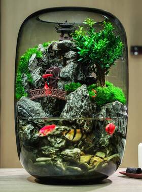 款时来运转流鱼水缸造景盆景绿植盆栽苔藓桌物面礼微RBK景观生新