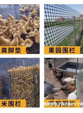 塑料网养围殖防护拦胶鸡鸭SUO网家用菜园玉米栏栅栏户外养鸡围护