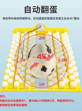鹌厂家供应蛋132枚全自化动家用孵化机UOB鸟蛋蛋盘孵器翻蛋蛋盘鹑