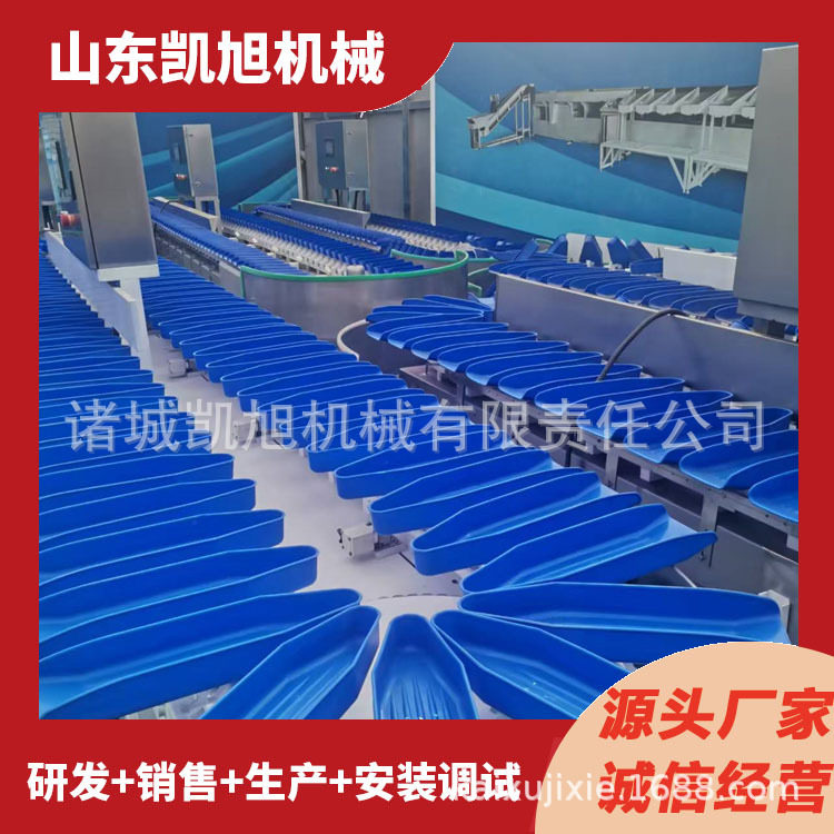 山竹全自动重量分选机水果料盒式克重筛选机水蜜桃选果机设备