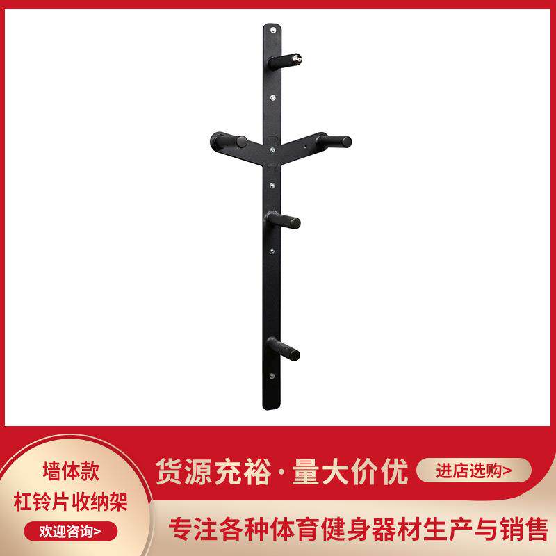 墙挂式杠铃片挂架三层五层六层挂片杆墙体哑铃架健身器材收纳架