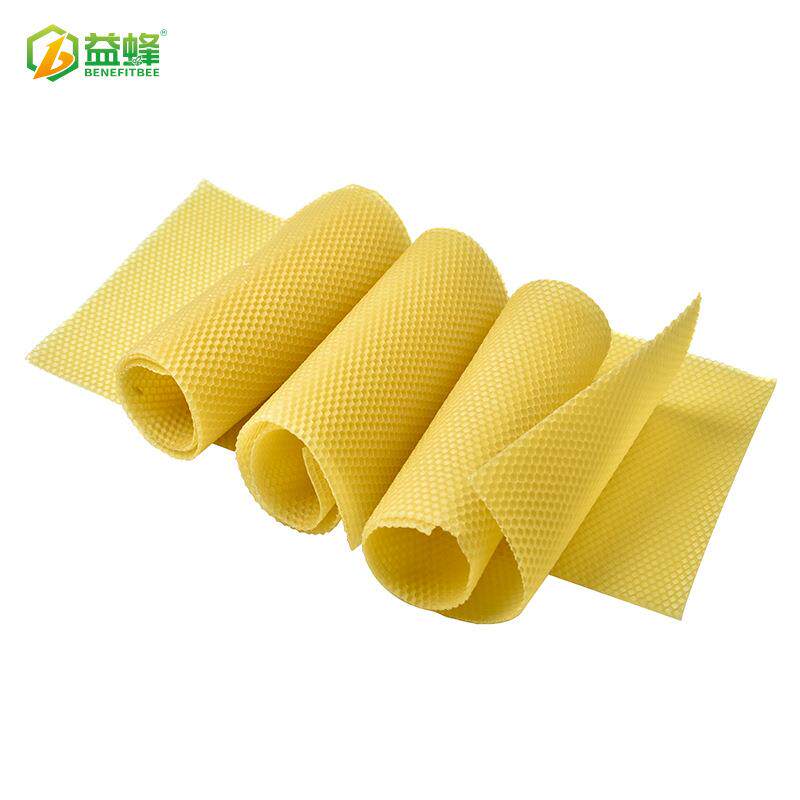 养产蜂工具优质深房中蜂巢础丰A级100%陆纯蜂蜡片82661高巢蜡蜂脾