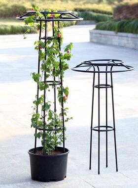 藤枝晓伞型季花架爬架爬户外花卉攀架爬藤架花支架月铁线莲14mm管