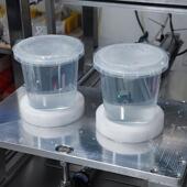 自动卷膜奶茶杯515封口机设装 备商用豆塑料瓶包机杯绿豆沙封浆罐