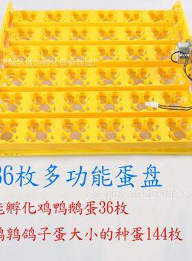 通达孵化机24ZYG36枚48枚5559枚全枚自枚动用小型孵化家器孵蛋器