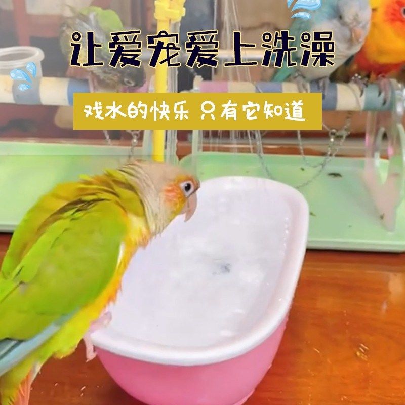 鹦鹉洗澡盆自动循环洗澡神器虎皮珍珠鸟玄凤牡丹小鸟用品大全玩具,宠物/宠物食品及用品,鸟用洗澡盒/器,淘宝优惠券,粉丝福利购,淘宝优惠卷