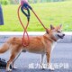 防爆冲训犬p链p绳大狗遛狗绳子金毛拉布拉多大型犬加粗加长牵引绳