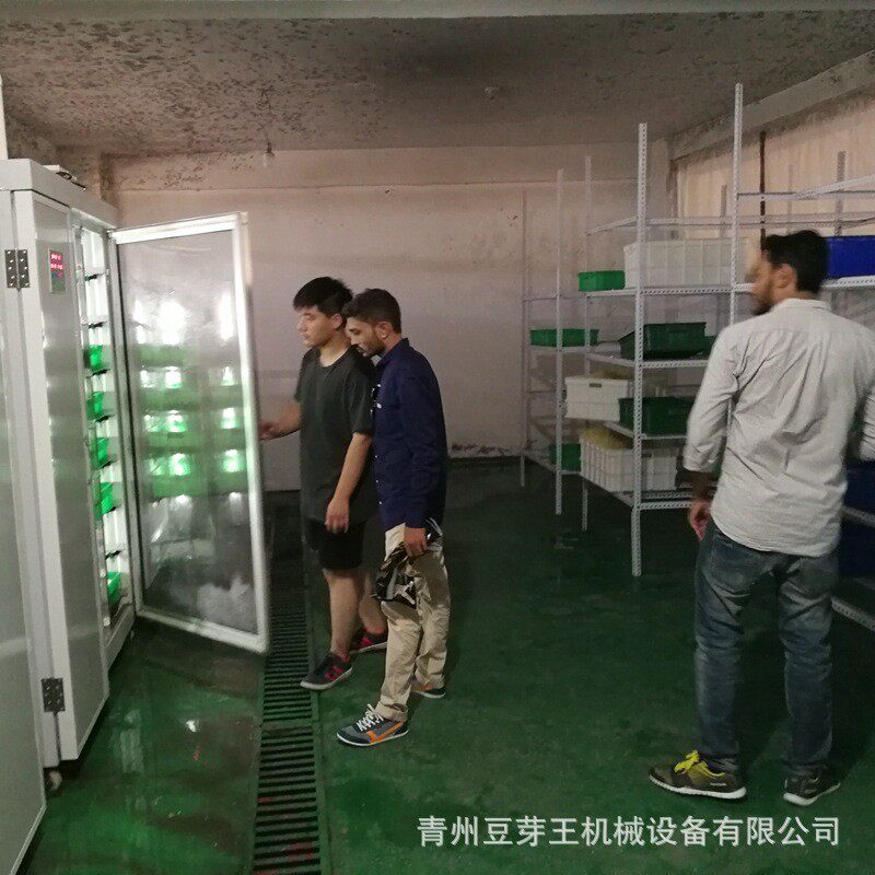 商用豆芽脱皮机 双层黄豆芽去壳筛选机