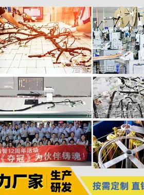 LS1 T56 DBC发动机线束97-06 变速箱汽配线束4.8 5.3 6.0l Vortec