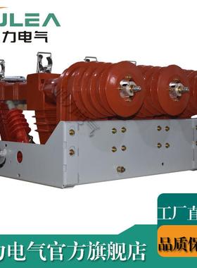 FKRN12-12/125-31.5手动负荷开关FN26高压负荷开关接地带熔芯