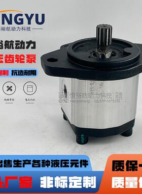 博顿高压油泵Boden齿轮泵BHP2.5A1D30S0R1BHP2.5A0S23S3L0液压泵