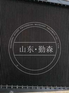 0自卸车配件型号齐全自卸车HHVVD45-67R水箱2-903-71110