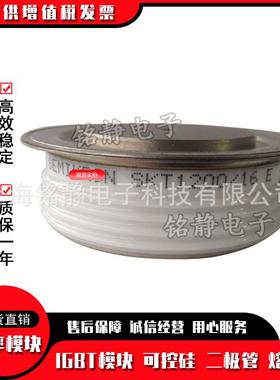 SKT100/1T2ESKT1000型号齐全16E可控硅晶闸管SK1200/18E//104E/16