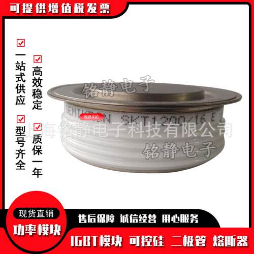 SKT100/1T2ESKT1000型号齐全16E可控硅晶闸管SK1200/18E//104E/16