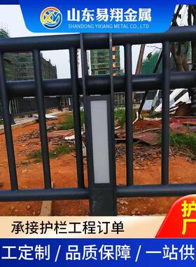 桥梁栏WGS景观护河道灯光防护栏DLE防撞护栏杆人行天杆桥河道桥梁