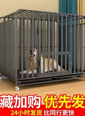 狗笼子大中型犬型室BPH内厕分离加粗宠物笼金毛拉布带拉多所家用