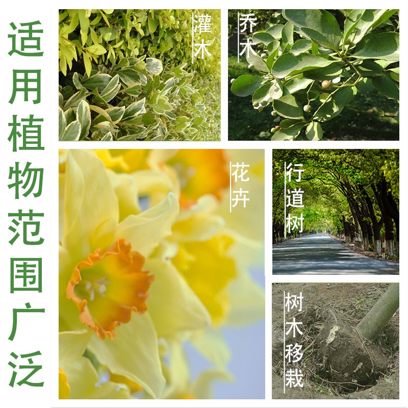 树木生根粉植物生根剂发根液扦插移栽壮苗剂果树营养液花卉生根液